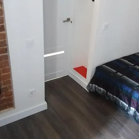 With Fireplace Apartment *